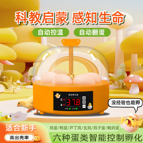 孵化器小型家用全自动智能儿童小鸡芦丁鸡鹦鹉孵蛋器种蛋孵蛋机