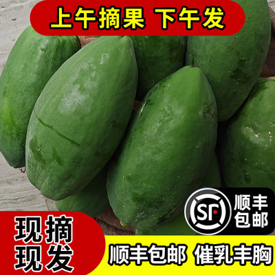 广西青木瓜产妇下奶煲汤腌酸木瓜