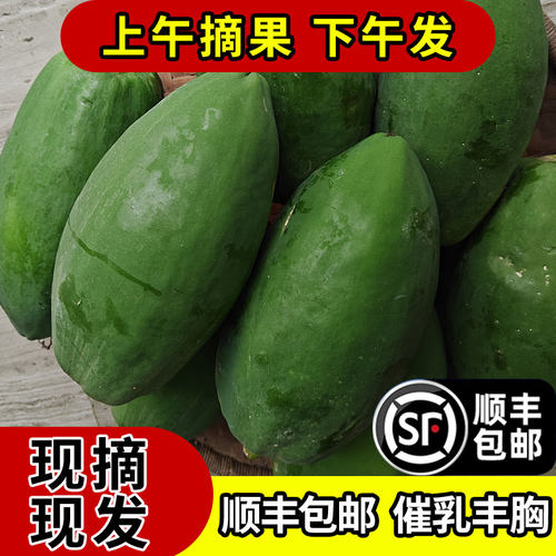 广西青木瓜产妇下奶煲汤腌酸木瓜