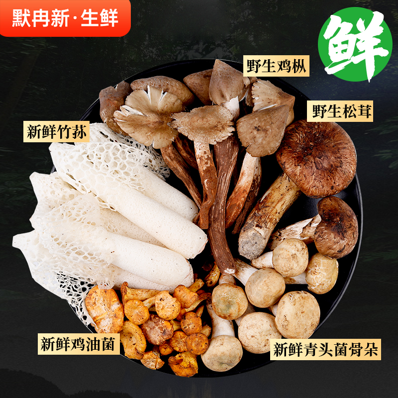 野生鸡油菌松茸见手青蘑菇鸡枞