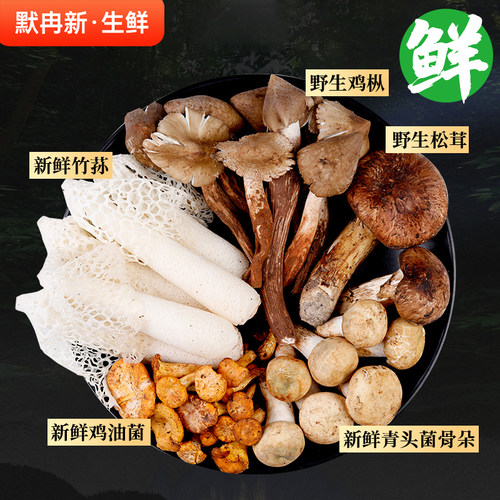 野生鸡油菌松茸见手青蘑菇鸡枞
