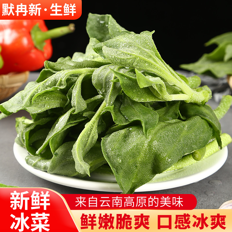 【现货】新鲜蔬菜冰菜1斤冰菜花冰叶火锅即食生吃非洲花沙拉顺丰在类目 水产肉类/新鲜蔬果/熟食, 新鲜蔬菜/蔬菜制品, 新鲜蔬菜, 其它中 - 来自Buy2taobao.com提供专业的淘宝代购服务