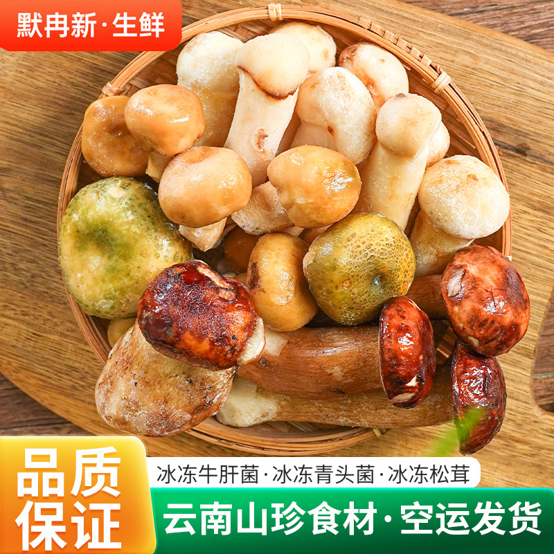 云南食用菌美味牛肝菌鲜蘑菇菌
