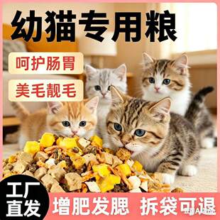 幼猫猫专用猫粮1月到12月营养发腮小奶猫成猫幼猫冻干大包装62222