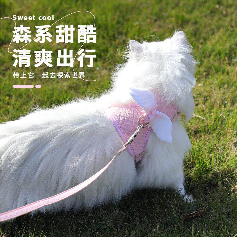 猫咪外出专用胸背带宠物狗狗幼猫牵引绳工字型防跑可调节遛猫绳子