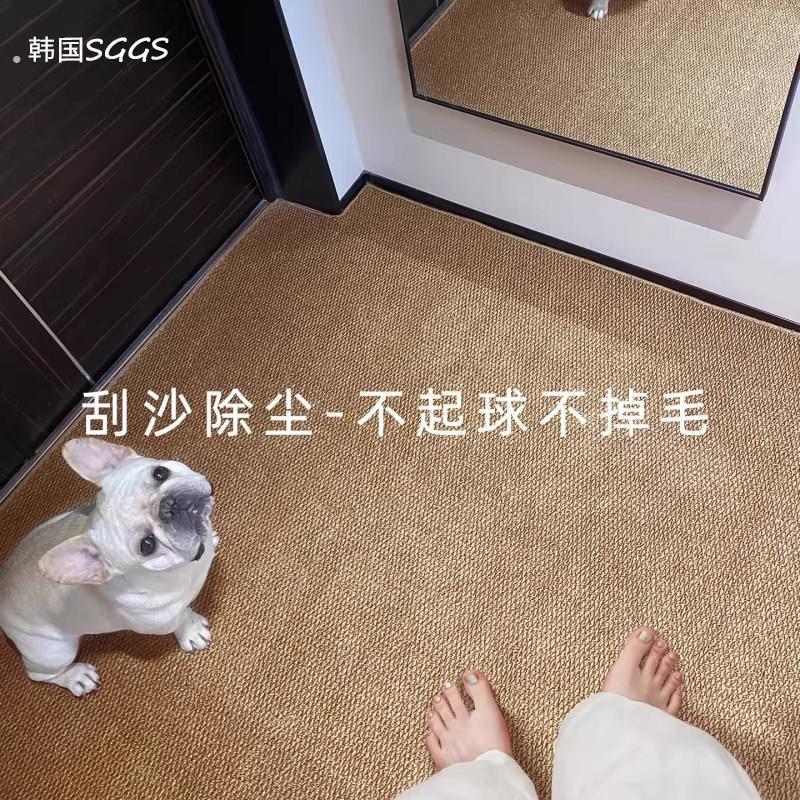 法式入户门地垫彷剑麻可裁剪定制地毯新款可机洗防滑门口进门脚垫