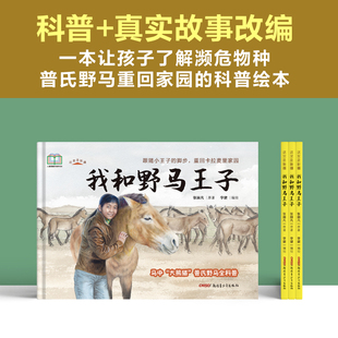 这里是新疆•我和野马王子 科普+真实故事改编 了解普氏野马