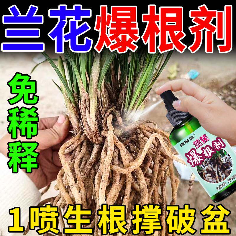 兰花生根爆芽剂兰科专用营养液催花催芽营养素兰花根腐病防腐药