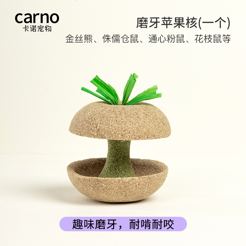 carno卡诺苹果核仓鼠磨牙棒零食小金丝熊磨牙石玩具专用造景用品 宠物/宠物食品及用品 饲料/零食 原图主图