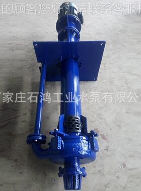 厂家SP型浆立式渣浆泵200SV-SP 液EUD下渣浆 加长轴泵液 下渣泵