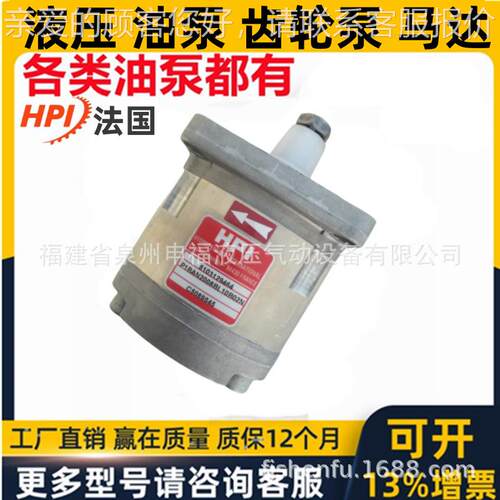 法国I油泵齿泵P2CAN20轮1P0 P2DBN2006 2PGHCK2012液压D马达动力