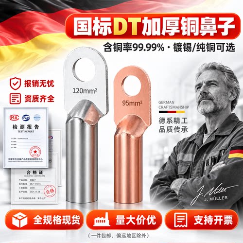 国标DT镀锡堵油铜接线端子