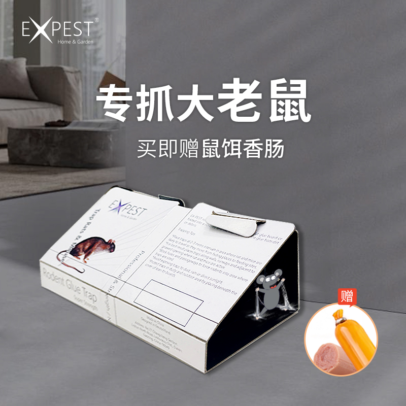 粘鼠板家用实惠装EXPEST老鼠
