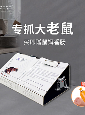 EXPEST粘鼠板老鼠贴灭鼠克星粘板家用实惠装灭老鼠