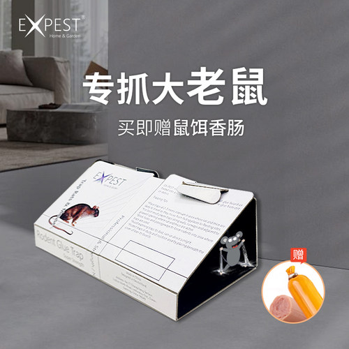 粘鼠板家用实惠装EXPEST老鼠