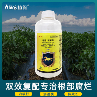 泉辉迪马1.5%咯菌腈嘧菌酯颗粒剂辣椒根腐克星根腐病专用药杀菌剂
