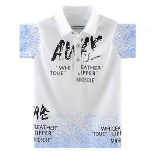 男童短袖T恤童装夏季新款纯棉大童上衣2024夏装带领POLO衫儿童男