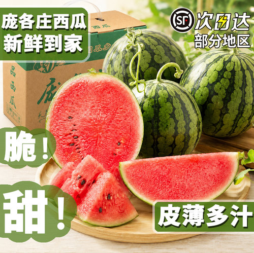 大兴庞各庄吊秧小西瓜顺丰包邮