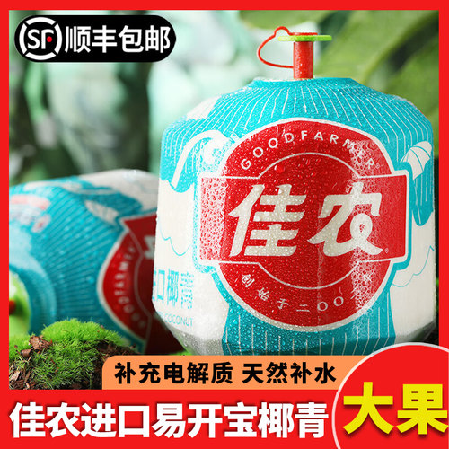 北京六环内当日达佳农易开椰青