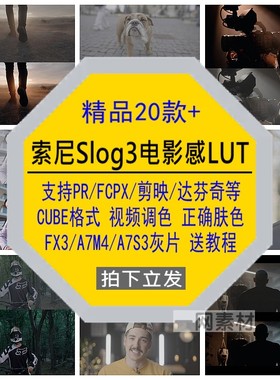 索尼Slog3商业电影感LUT视频调色FX3/A7M4/A7S3灰片正确肤色素材