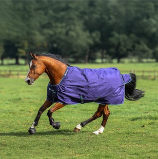 BUCAS冬季加厚马衣防水透气保暖大马驹通用防寒马衣加棉300g 150g