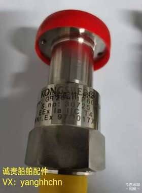 kangsberg压力感测器GT256/1P60C5P全新现货议价议价 ！