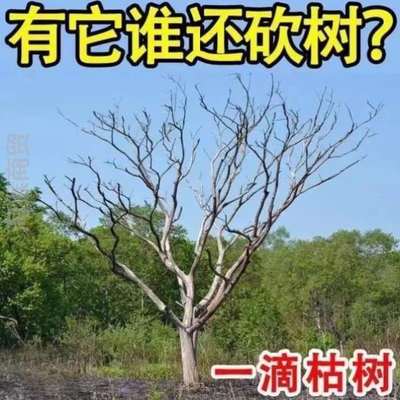 灭树除除草杂草灭根粉杂竹@草木根剂斩草除根荒地一扫光竹烂杂木