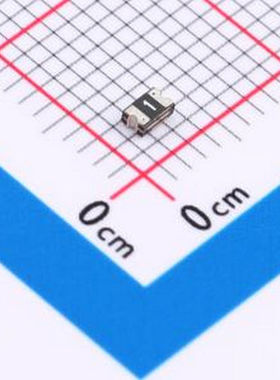 0805L010/48AR 48V 100mA 0805自恢复 0805 自恢复保险丝