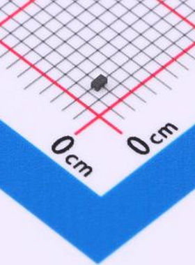 WPE1261KP1 WPE1261KP1 DFN1006-2L 静电和浪涌保护(TVS/ESD)