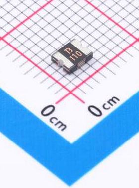 1210L110/33WR 自恢复保险丝 33V 1.1A 1210自恢复 1210 自恢复保