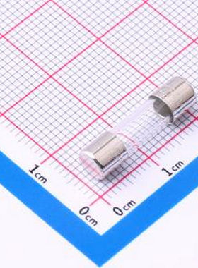 STC1100 玻璃管式 1.0A 250V 慢断5*20保险丝 插件,D5xL20mm 一次