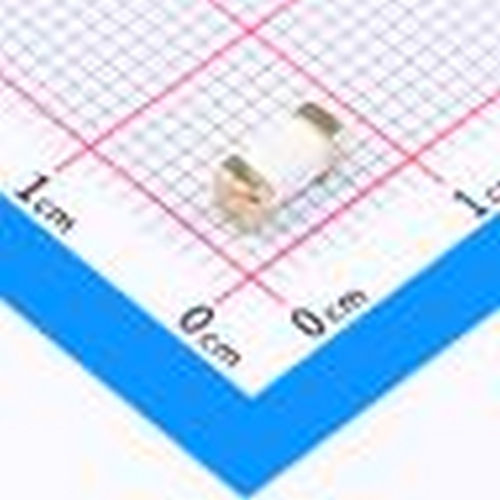 2410 F100mA/125V 一次性保险丝 贴片一次性保险丝FUSE SMD