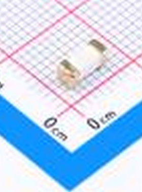 2410 F100mA/125V 一次性保险丝 贴片一次性保险丝FUSE SMD