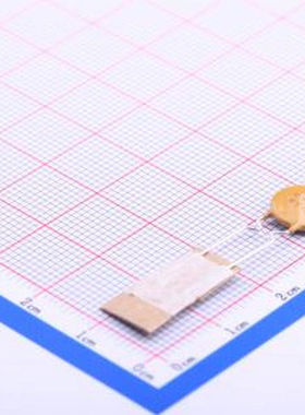 72R075XPR 自恢复保险丝 72V 750mA 插件自恢复 插件