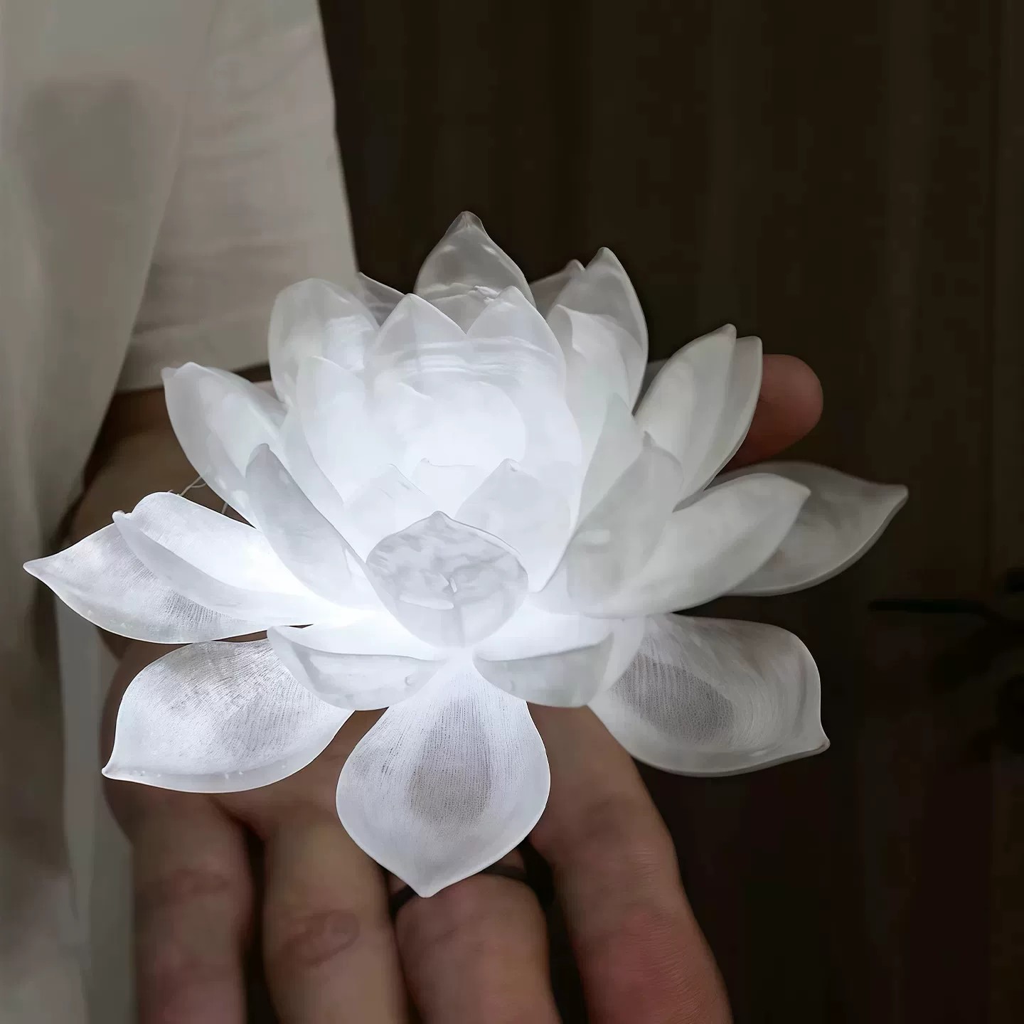 氛围出片掌心莲花灯中式禅意古风