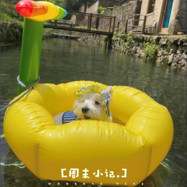 笑脸太阳花浮床宠物充气泳圈创意
