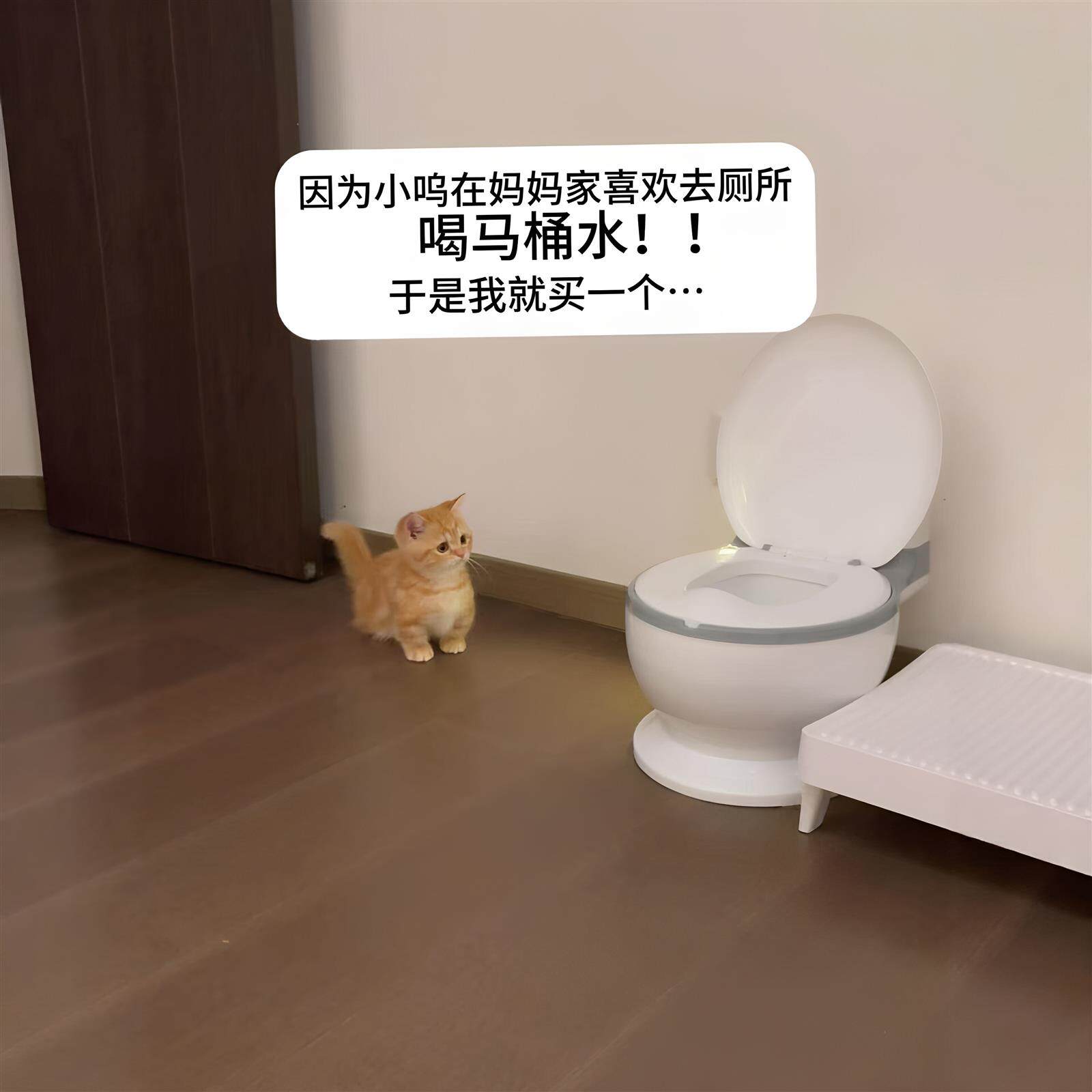 马桶爆改水盆!猫咪马桶饮水器宠物喝水碗不易打翻大容量喝水神器