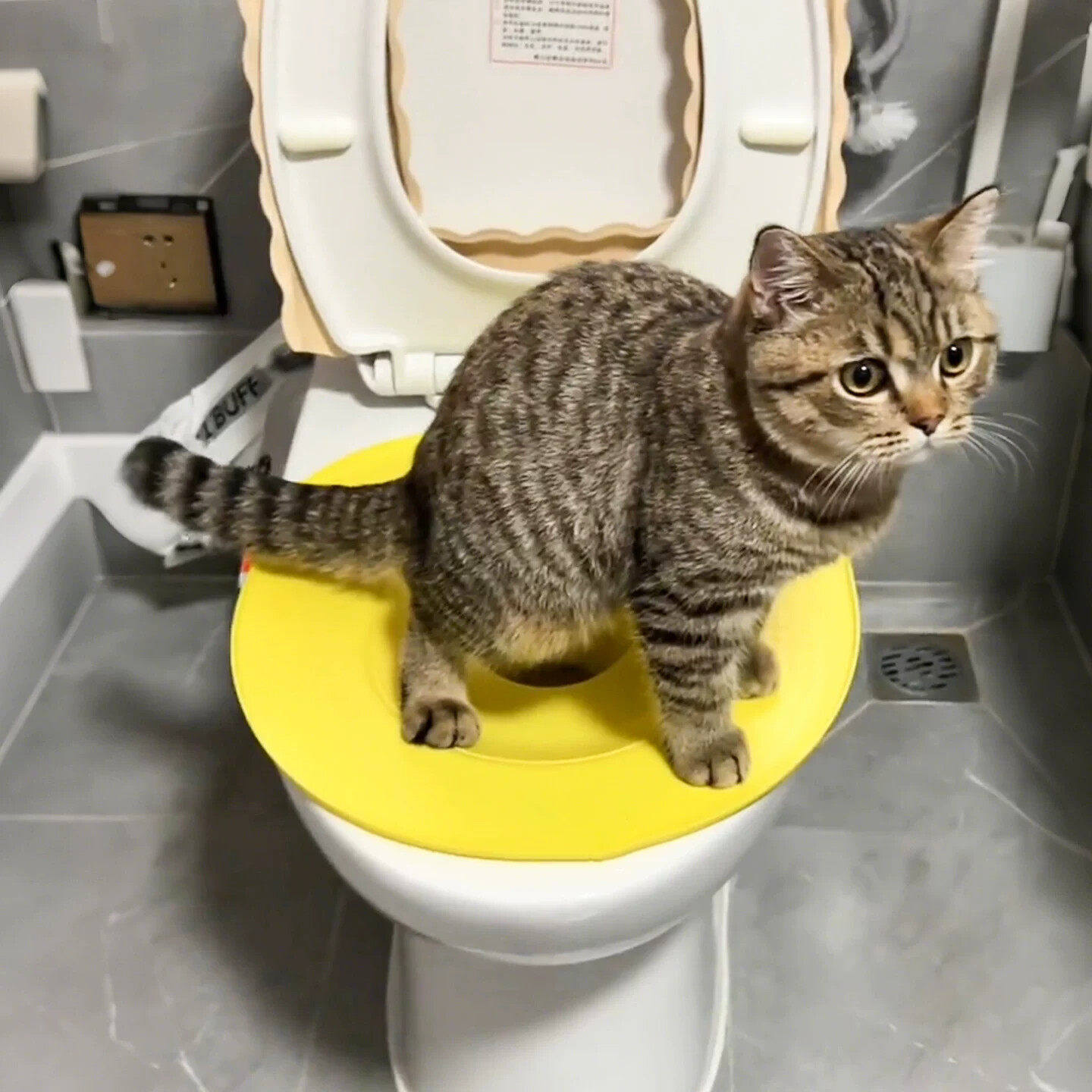 猫狗开放式蹲坑训练马桶圈坐便垫