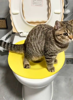 猫狗开放式蹲坑训练马桶圈坐便垫