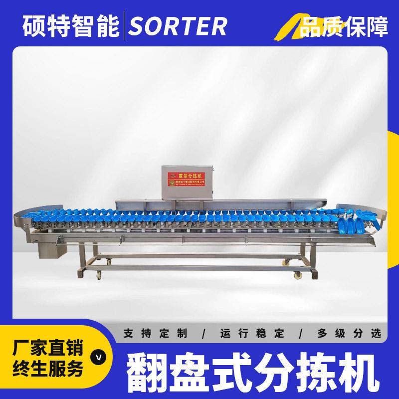 耙耙柑重量选果机果冻橙大小果分选机鸡蛋果自动称重分拣机