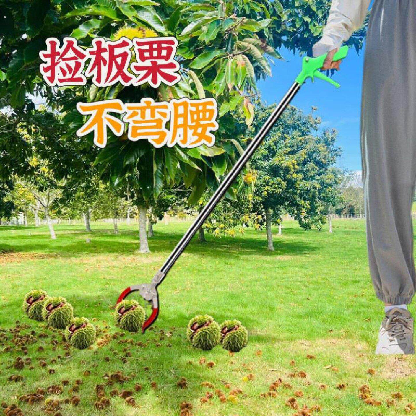 捡板栗神器捡栗子夹子工具拾山核桃坚果剥栗子手套不弯腰加长钳子
