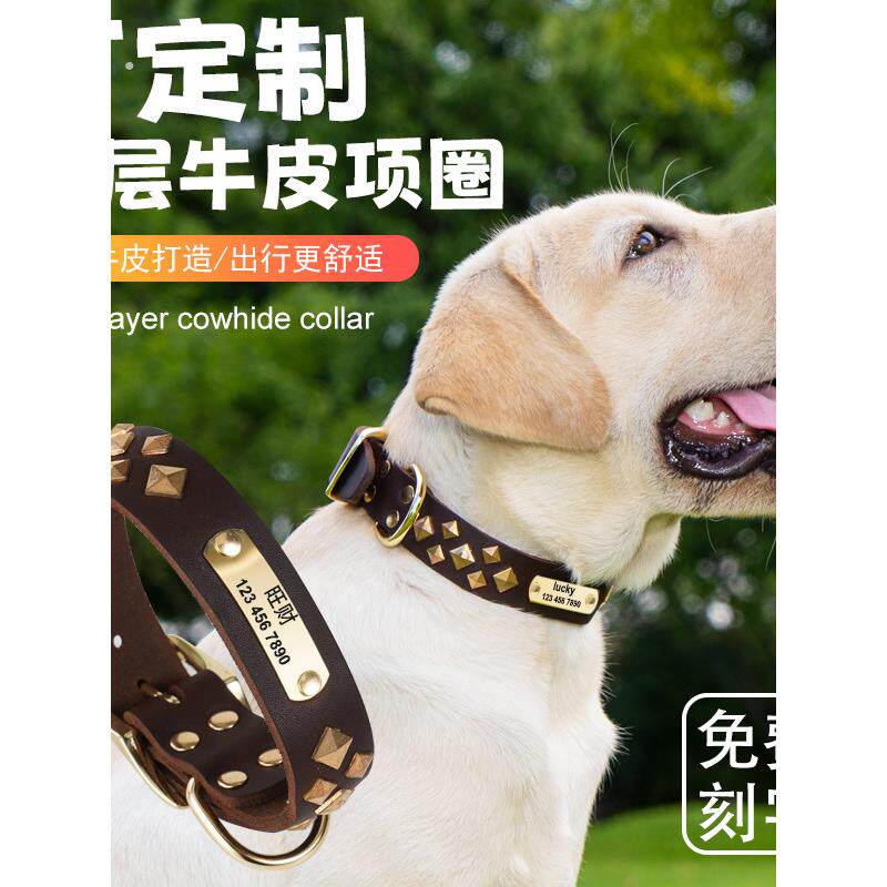 牛皮狗狗项圈小型犬中大型犬宠物脖套马犬柯基刻字防丢失真皮脖圈