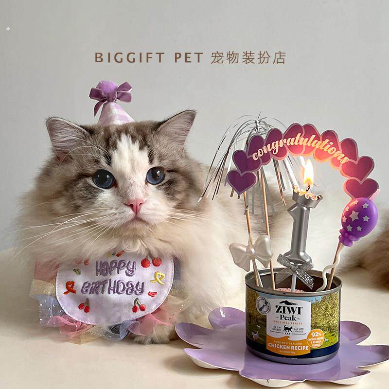 紫色系生日派对套装蛋糕蜡烛插件纸盘狗狗猫咪周岁围兜装扮用品
