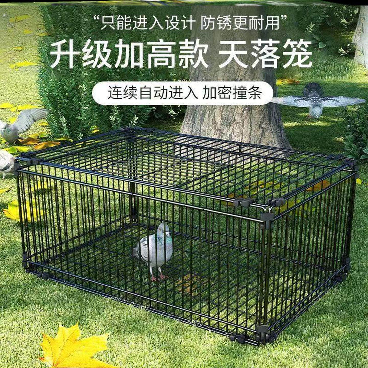 鸟笼捕捉器室外捕捉器鸟笼大号特大捕鸽神器室外天落笼祇进不出