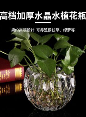 简约加厚花瓶水晶玻璃透明绿萝水培圆形水养花盆客厅插花装饰摆件