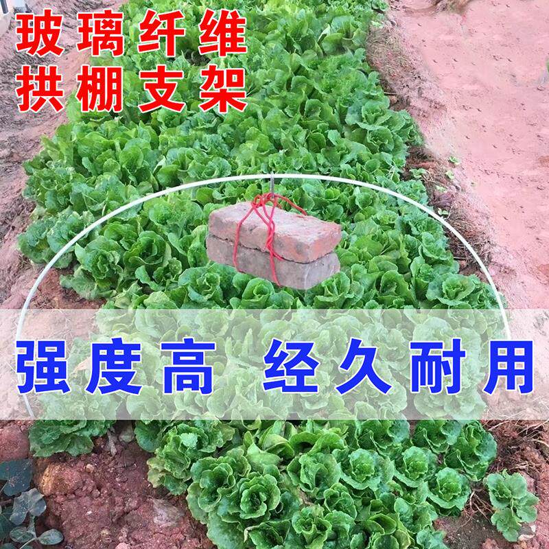 农用拱棚支架大棚菜地玻璃纤维杆高弹力菜园瓜藤攀爬支架四季可用怎么样,好用不?