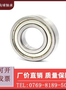 BAY深沟球轴承6300 6301 6302 6303 6304 6305 6306ZZ-E-J SUS