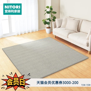 现代简约大块地毯卧室床边毯子人字纹地毯RA30 NITORI宜得利家居