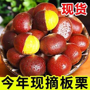 2025年新货云南高山板栗野生油栗生栗子新鲜毛栗子大粒粟子10包邮
