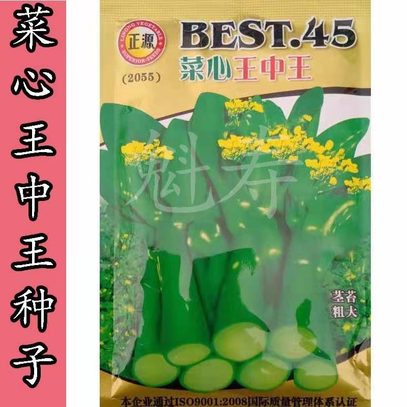 正源菜心王中王种子 菜芯种籽苔菜绿苔菜芸菜苔抗热春秋冬四季播